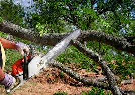 Best Lot and Land Clearing  in Goulding, FL