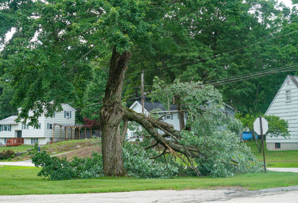 Best Leaf Removal  in Goulding, FL